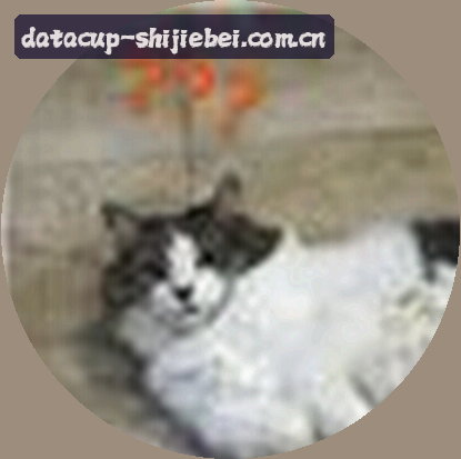 林红
